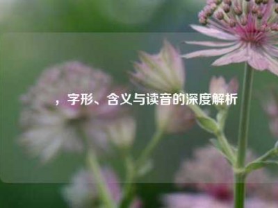 匸，字形、含义与读音的深度解析