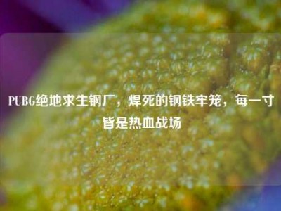 PUBG绝地求生钢厂，焊死的钢铁牢笼，每一寸皆是热血战场