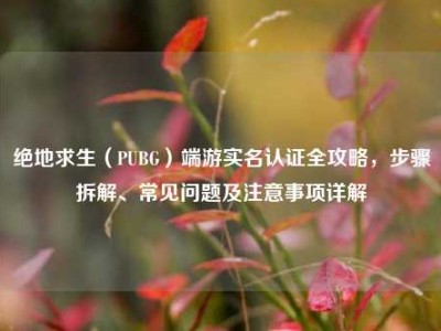 绝地求生（PUBG）端游实名认证全攻略，步骤拆解、常见问题及注意事项详解