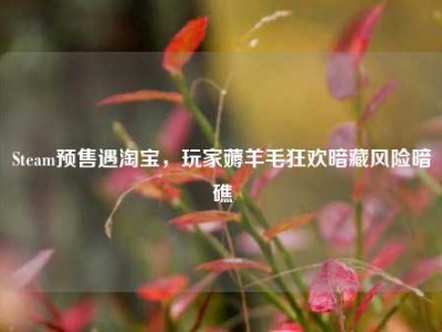 Steam预售遇淘宝，玩家薅羊毛狂欢暗藏风险暗礁