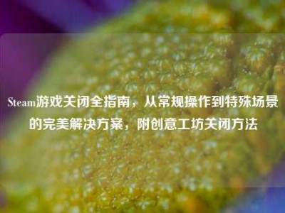 Steam游戏关闭全指南，从常规操作到特殊场景的完美解决方案，附创意工坊关闭方法