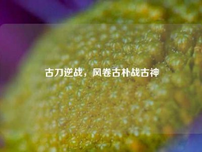 古刀逆战，风卷古朴战古神