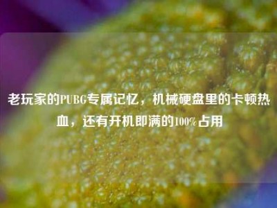 老玩家的PUBG专属记忆，机械硬盘里的卡顿热血，还有开机即满的100%占用