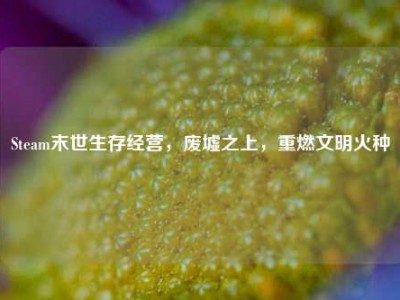 Steam末世生存经营，废墟之上，重燃文明火种