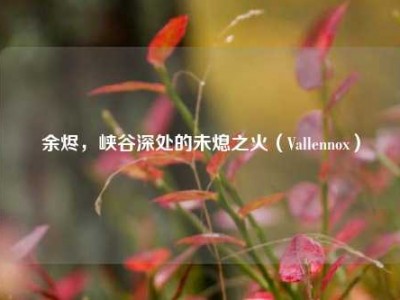 余烬，峡谷深处的未熄之火（Vallennox）