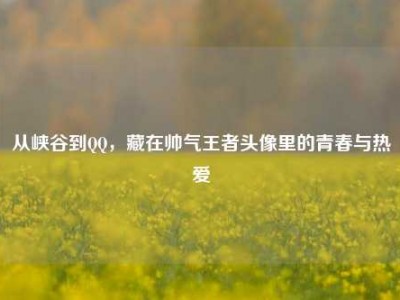 从峡谷到QQ，藏在帅气王者头像里的青春与热爱
