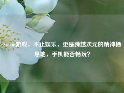 Steam游戏，不止娱乐，更是跨越次元的精神栖息地，手机能否畅玩？