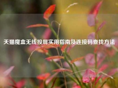 天猫魔盒无线投屏实用指南及连接码查找方法
