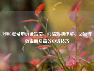 PUBG账号申诉全指南，间隔规则详解、回复时效说明及高效申诉技巧