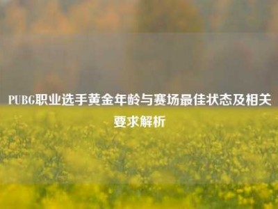 PUBG职业选手黄金年龄与赛场最佳状态及相关要求解析