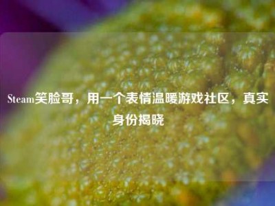 Steam笑脸哥，用一个表情温暖游戏社区，真实身份揭晓