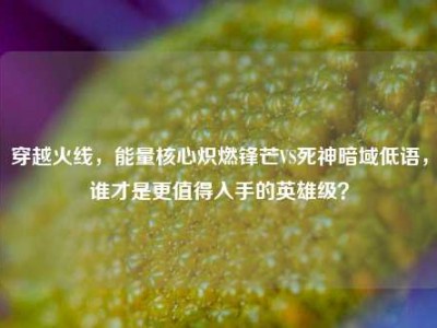 穿越火线，能量核心炽燃锋芒VS死神暗域低语，谁才是更值得入手的英雄级？