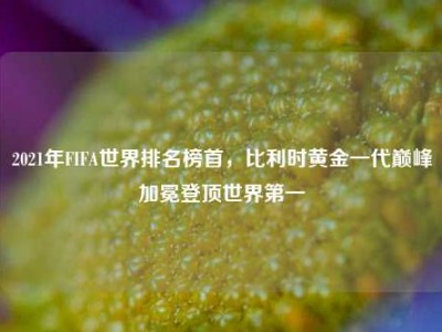2021年FIFA世界排名榜首，比利时黄金一代巅峰加冕登顶世界第一