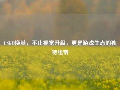 CSGO换肤，不止视觉升级，更是游戏生态的独特纽带