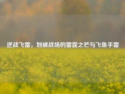 逆战飞雷，划破战场的雷霆之芒与飞鱼手雷