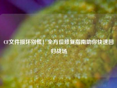 CF文件损坏别慌！全方位修复指南助你快速回归战场