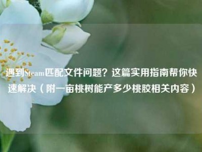 遇到Steam匹配文件问题？这篇实用指南帮你快速解决（附一亩桃树能产多少桃胶相关内容）