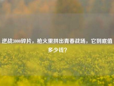 逆战3000碎片，枪火里拼出青春战场，它到底值多少钱？