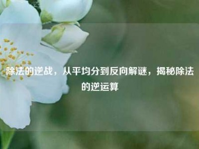 除法的逆战，从平均分到反向解谜，揭秘除法的逆运算