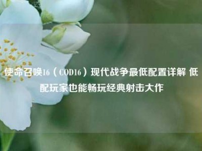使命召唤16（COD16）现代战争最低配置详解 低配玩家也能畅玩经典射击大作