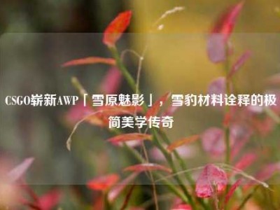 CSGO崭新AWP「雪原魅影」，雪豹材料诠释的极简美学传奇