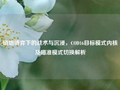 硝烟博弈下的战术与沉浸，COD16目标模式内核及瞄准模式切换解析