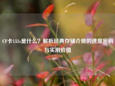 CF卡133x是什么？解析经典存储介质的速度密码与实用价值
