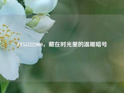 CF555222000，藏在时光里的温暖暗号