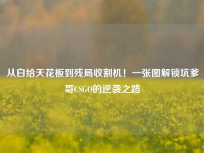 从白给天花板到残局收割机！一张图解锁坑爹哥CSGO的逆袭之路