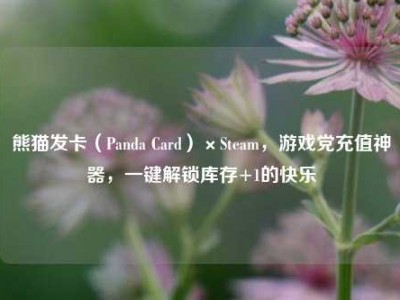 熊猫发卡（Panda Card）×Steam，游戏党充值神器，一键解锁库存+1的快乐