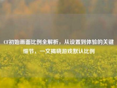 CF初始画面比例全解析，从设置到体验的关键细节，一文揭晓游戏默认比例