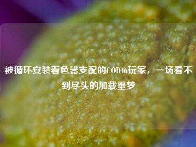 被循环安装着色器支配的COD16玩家，一场看不到尽头的加载噩梦