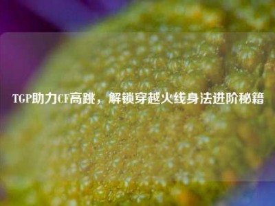 TGP助力CF高跳，解锁穿越火线身法进阶秘籍
