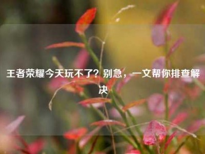 王者荣耀今天玩不了？别急，一文帮你排查解决