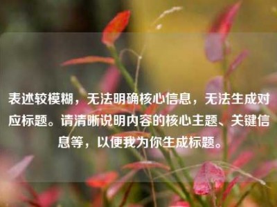 表述较模糊，无法明确核心信息，无法生成对应标题。请清晰说明内容的核心主题、关键信息等，以便我为你生成标题。
