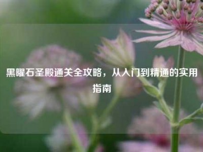 黑曜石圣殿通关全攻略，从入门到精通的实用指南