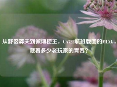 从野区莽夫到微博梗王，CA722航班载回的MLXG，藏着多少老玩家的青春？