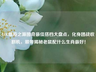 LOL瘟疫之源图奇最佳搭档大盘点，化身团战收割机，顺带揭秘老鼠配什么生肖最好！