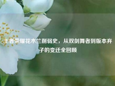 王者荣耀花木兰削弱史，从双剑舞者到版本弃子的变迁全回顾