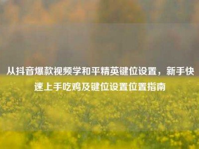 从抖音爆款视频学和平精英键位设置，新手快速上手吃鸡及键位设置位置指南