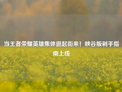 当王者荣耀英雄集体逛起街来！峡谷版剁手指南上线