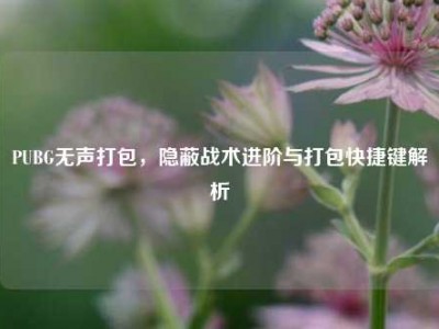 PUBG无声打包，隐蔽战术进阶与打包快捷键解析