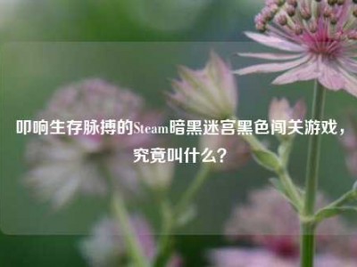 叩响生存脉搏的Steam暗黑迷宫黑色闯关游戏，究竟叫什么？