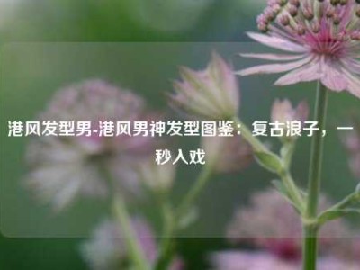 港风发型男-港风男神发型图鉴：复古浪子，一秒入戏
