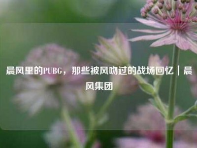 晨风里的PUBG，那些被风吻过的战场回忆｜晨风集团