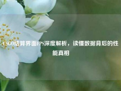 CSGO结算界面FPS深度解析，读懂数据背后的性能真相