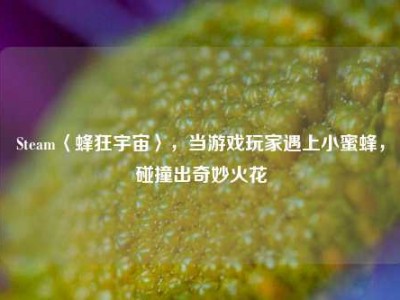 Steam〈蜂狂宇宙〉，当游戏玩家遇上小蜜蜂，碰撞出奇妙火花