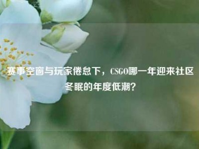 赛事空窗与玩家倦怠下，CSGO哪一年迎来社区冬眠的年度低潮？