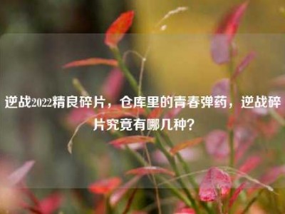 逆战2022精良碎片，仓库里的青春弹药，逆战碎片究竟有哪几种？