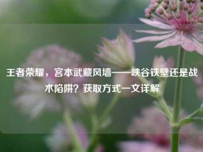 王者荣耀，宫本武藏风墙——峡谷铁壁还是战术陷阱？获取方式一文详解
